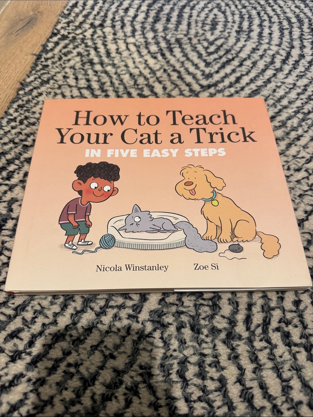 How to Teach Your Cat a Trick - Peach Cover by